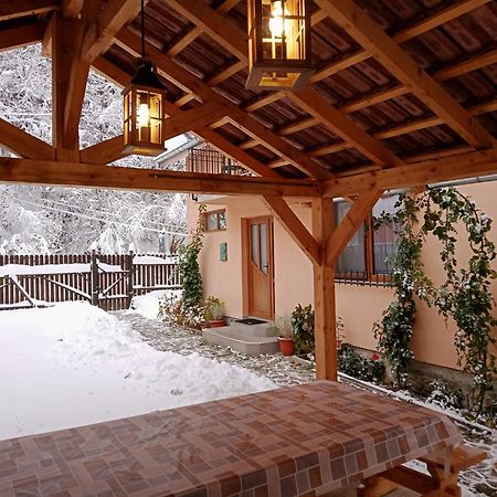 Casa Iulia & Matei Vila Cîrţişoara Exterior foto