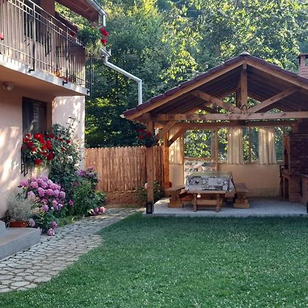 Casa Iulia & Matei Vila Cîrţişoara Exterior foto