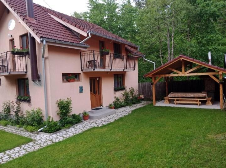 Casa Iulia & Matei Vila Cîrţişoara Exterior foto