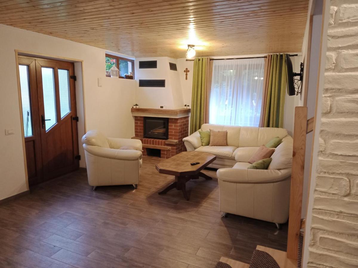 Casa Iulia & Matei Vila Cîrţişoara Exterior foto