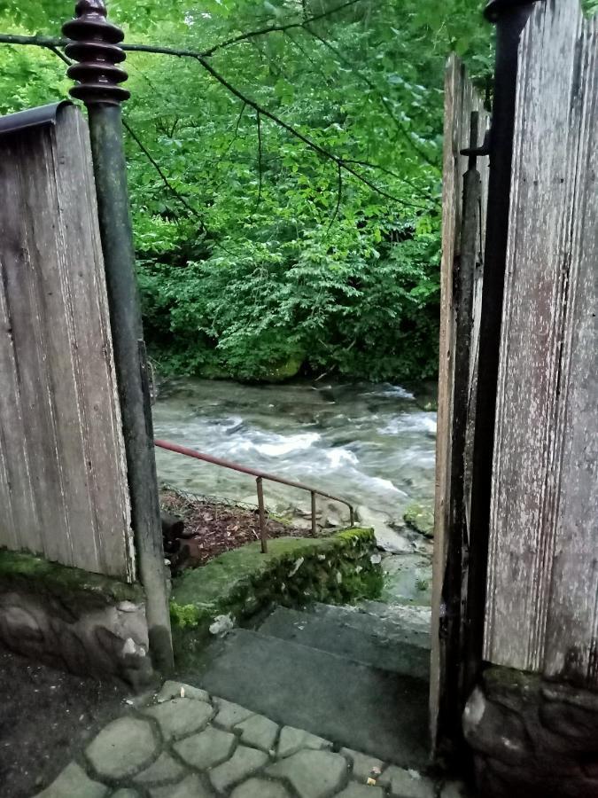 Casa Iulia & Matei Vila Cîrţişoara Exterior foto
