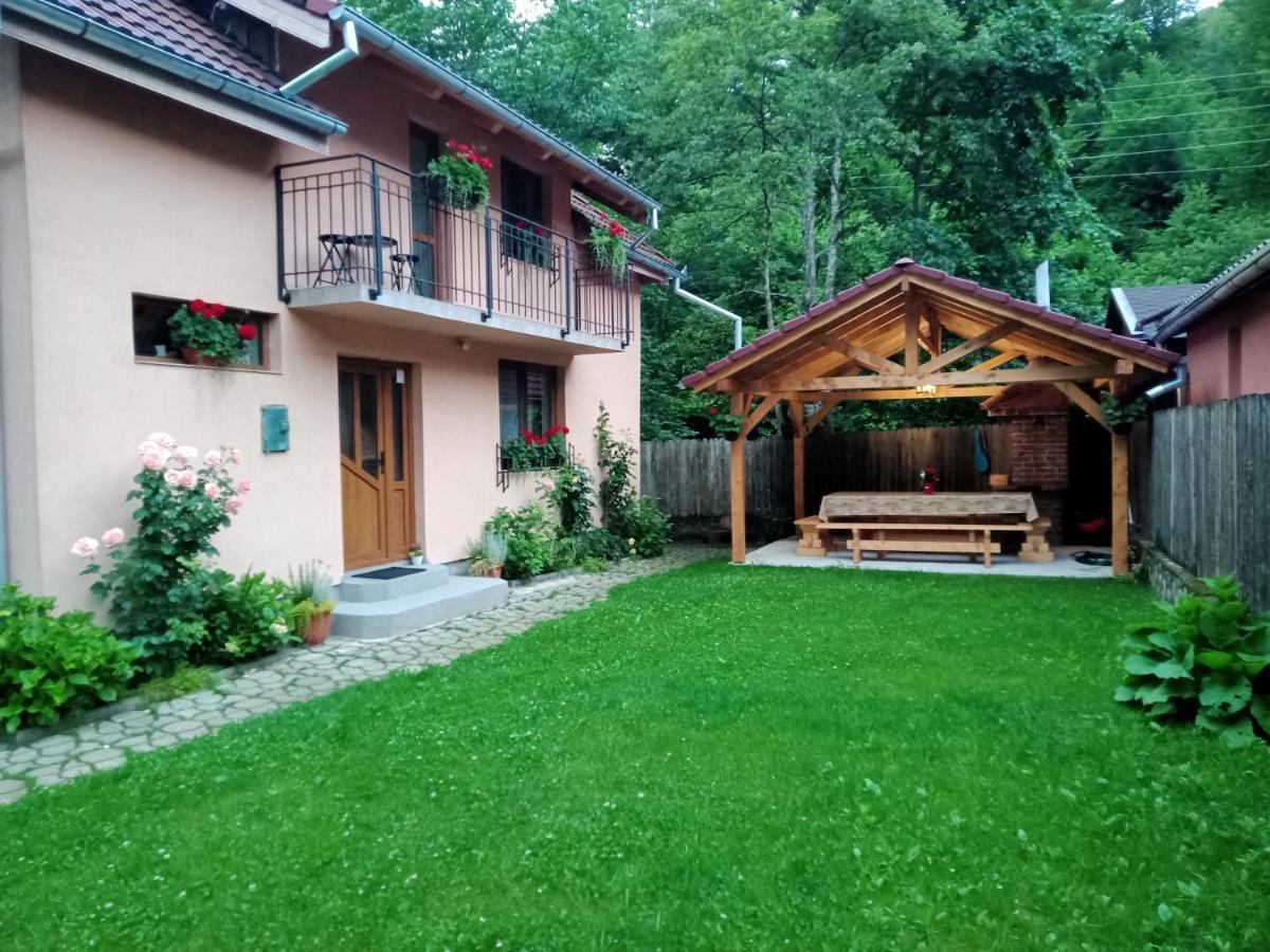 Casa Iulia & Matei Vila Cîrţişoara Exterior foto