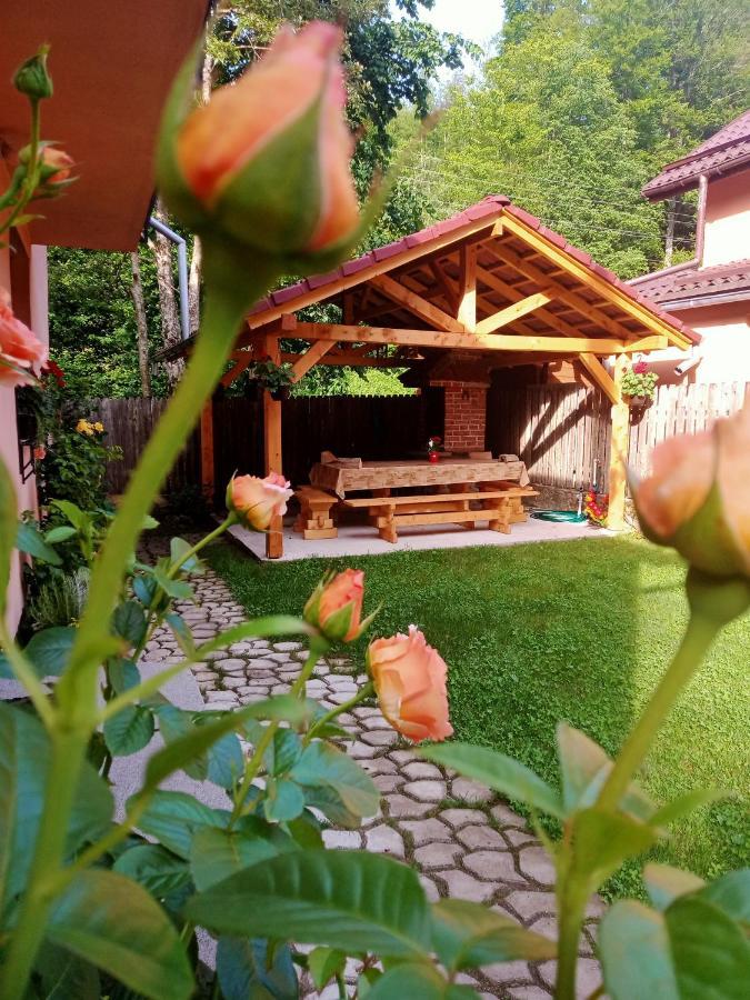 Casa Iulia & Matei Vila Cîrţişoara Exterior foto