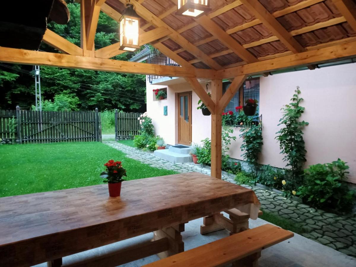 Casa Iulia & Matei Vila Cîrţişoara Exterior foto