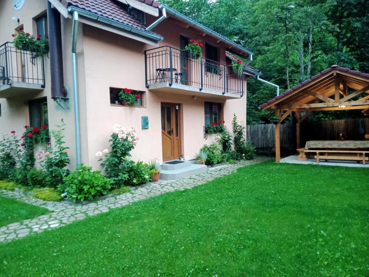 Casa Iulia & Matei Vila Cîrţişoara Exterior foto