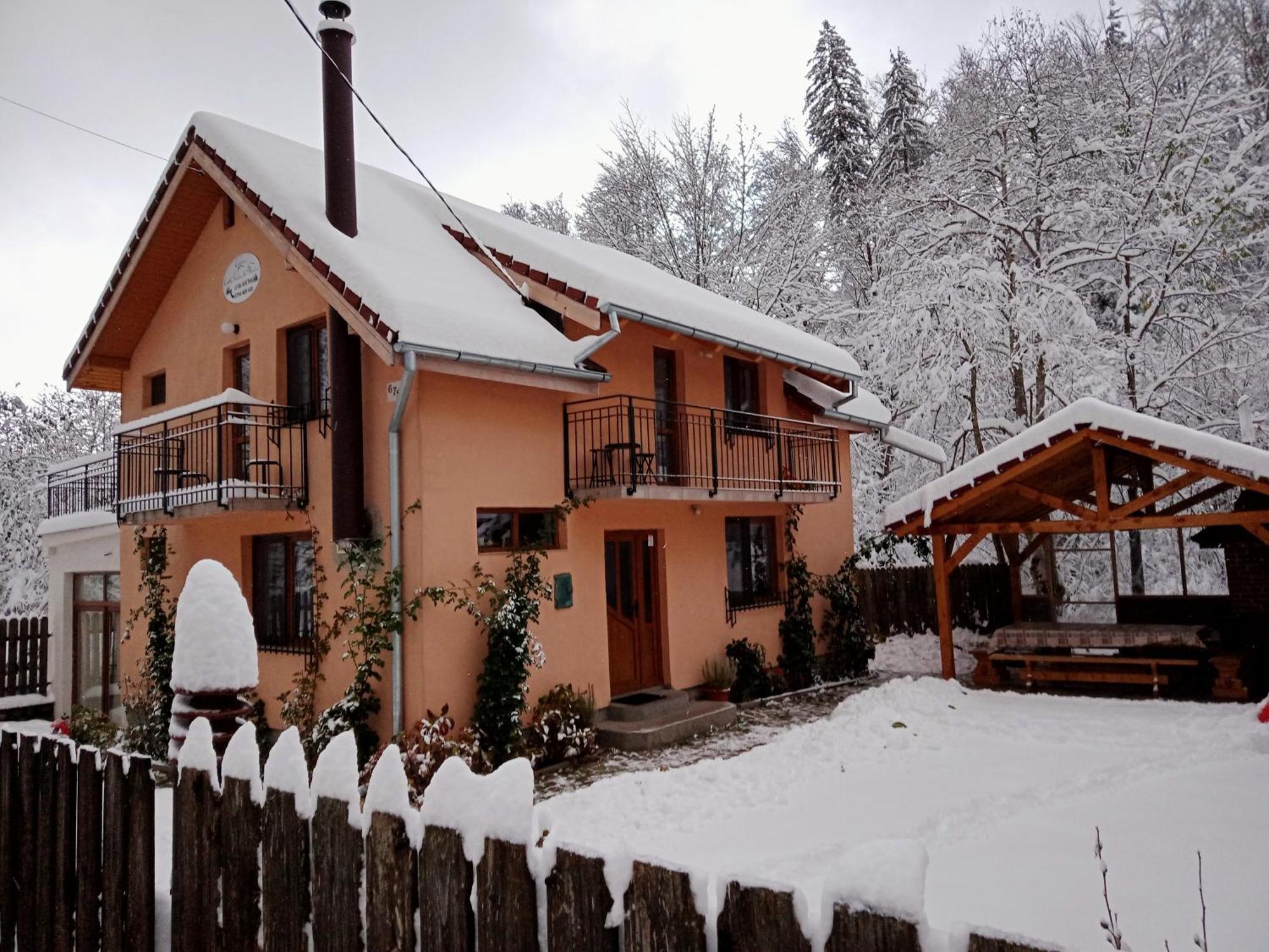 Casa Iulia & Matei Vila Cîrţişoara Exterior foto