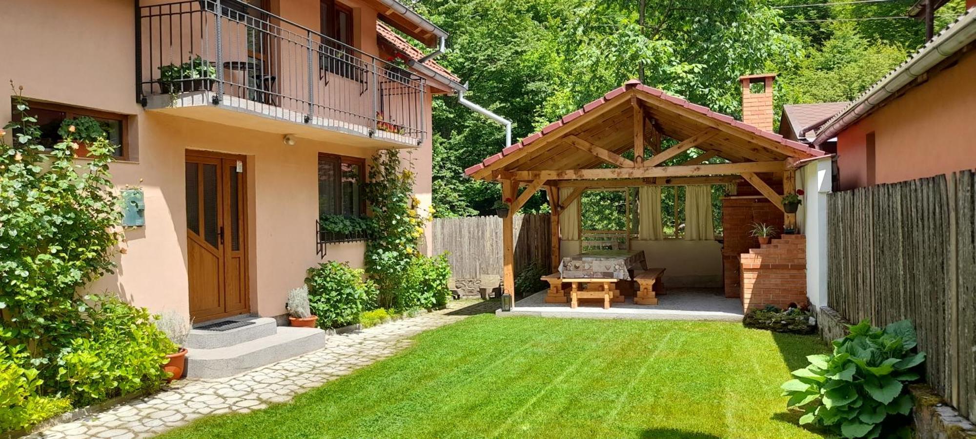Casa Iulia & Matei Vila Cîrţişoara Exterior foto