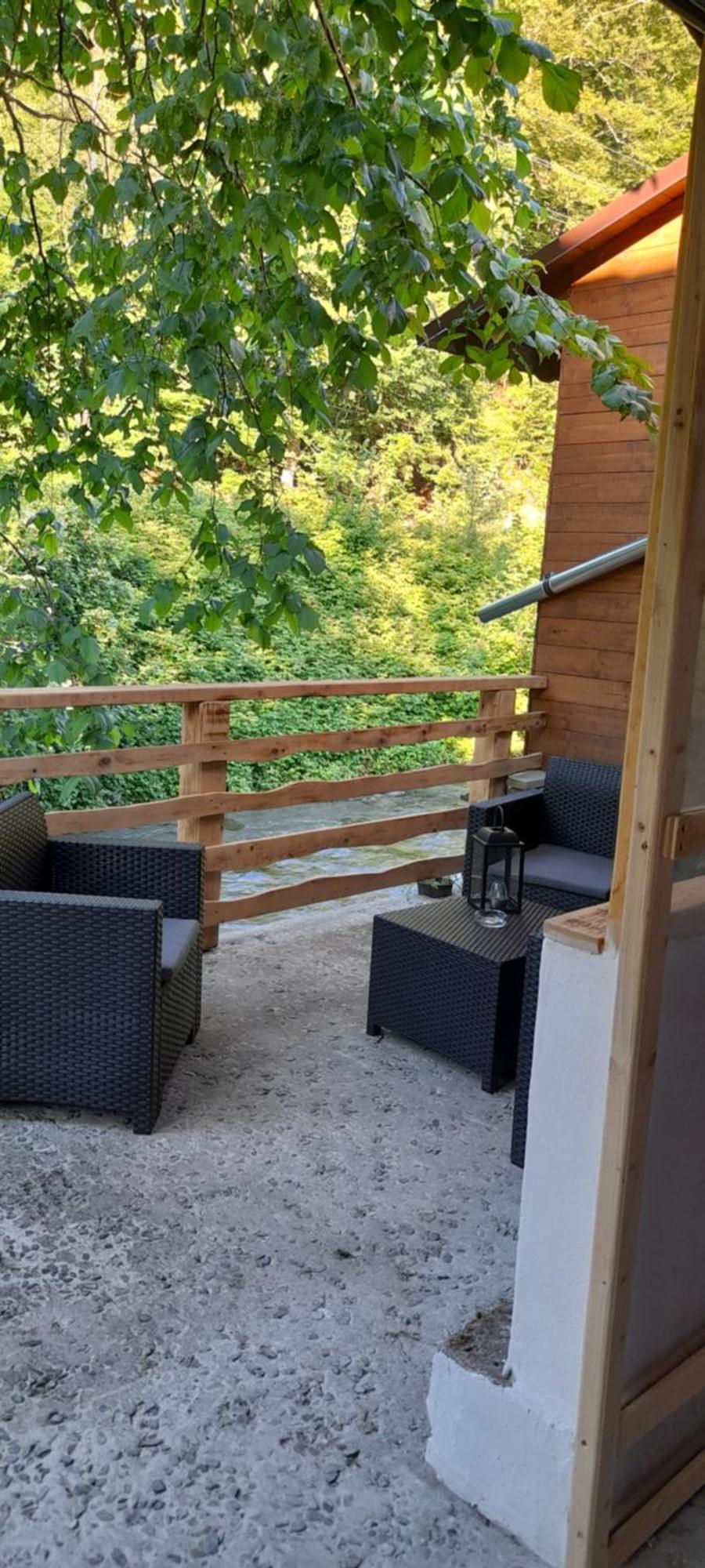 Casa Iulia & Matei Vila Cîrţişoara Exterior foto