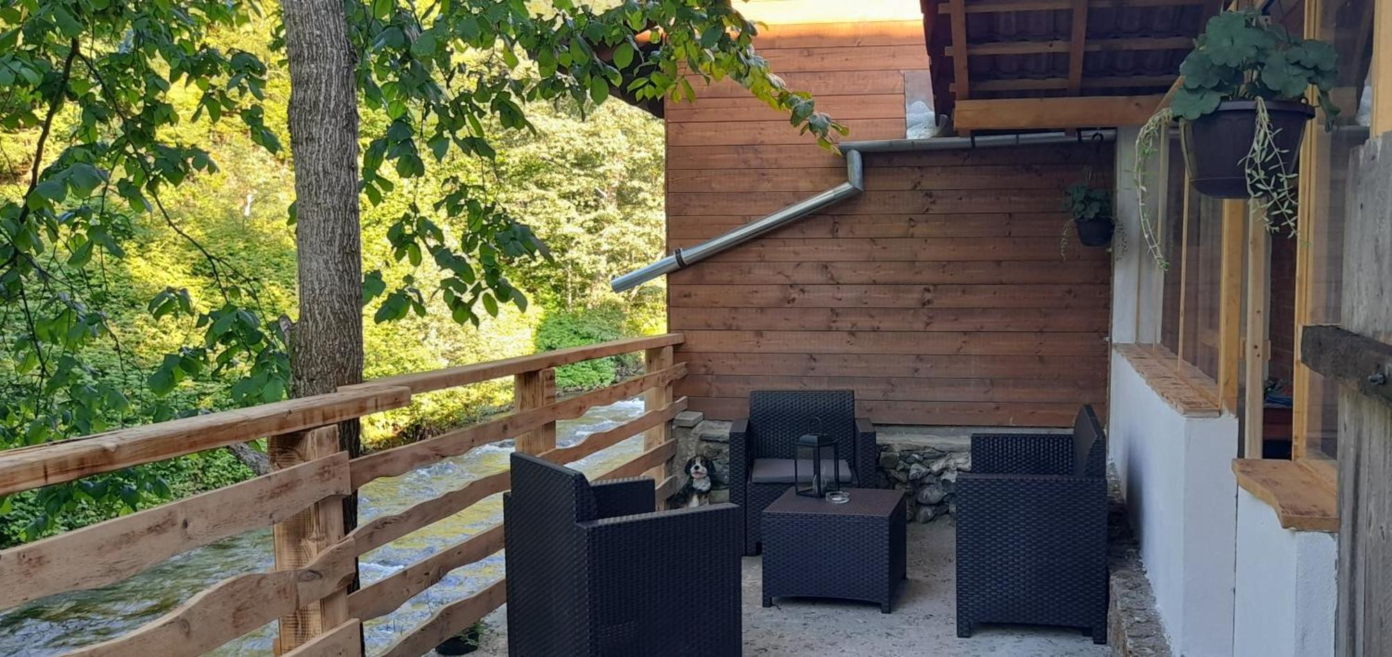 Casa Iulia & Matei Vila Cîrţişoara Exterior foto