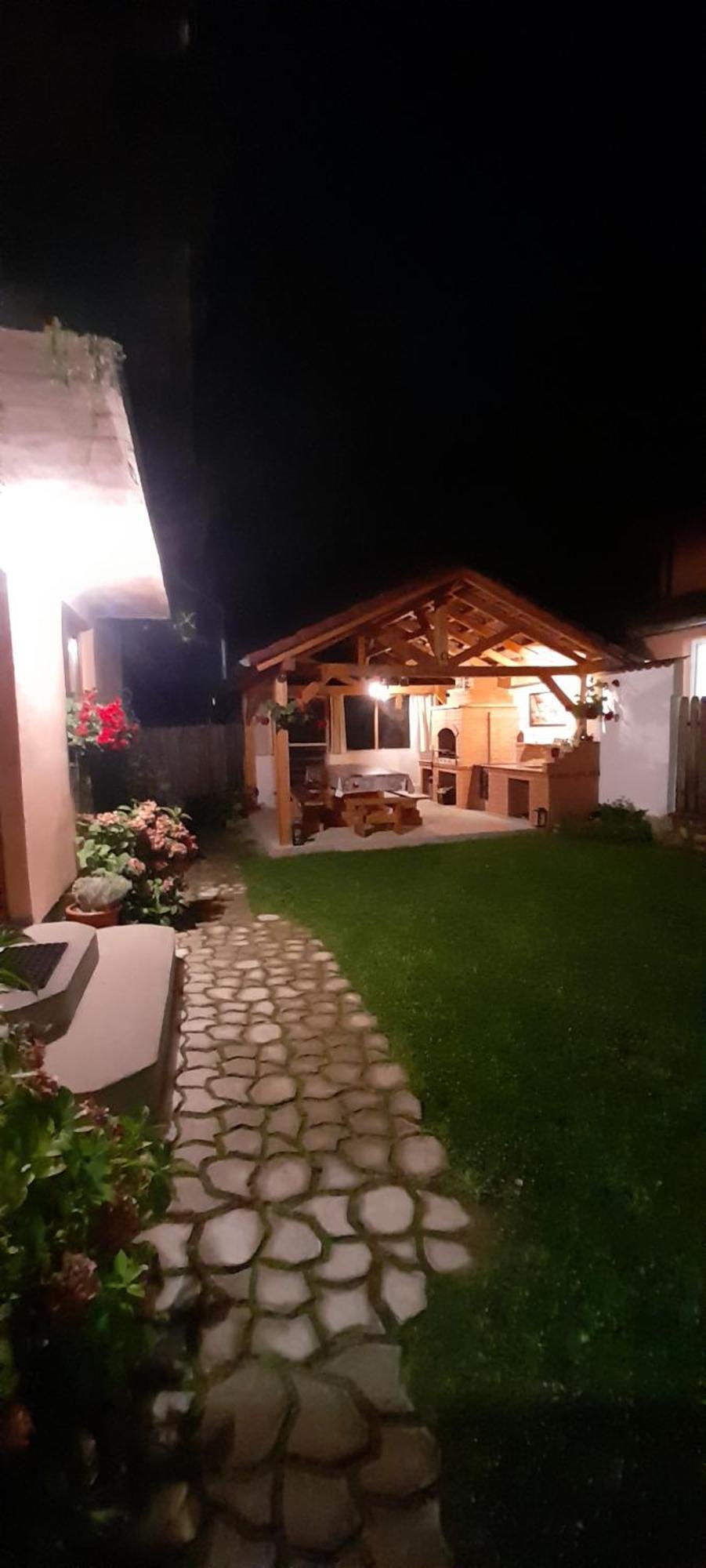 Casa Iulia & Matei Vila Cîrţişoara Exterior foto