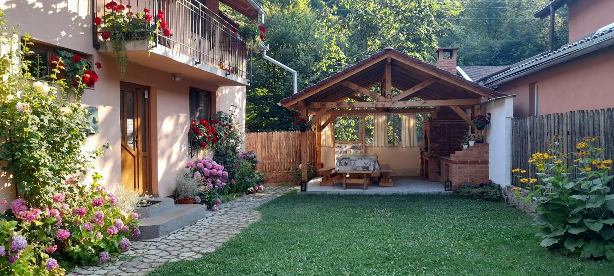 Casa Iulia & Matei Vila Cîrţişoara Exterior foto